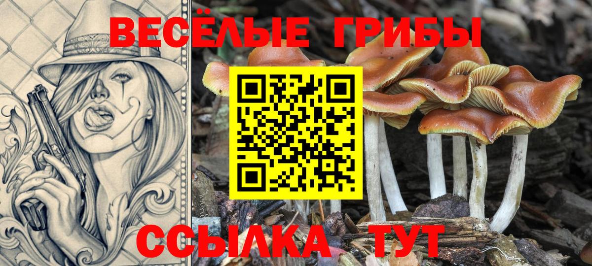 Галлюциногенные грибы прущие грибы Зеленогорск